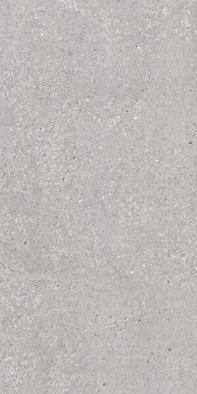 Керамогранит San Vicente Natural Matt 60x120 Argenta глазурованный, матовый настенная плитка 8435592044019