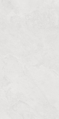 Керамогранит Porter Silver Pro Светло-серый LP6012G0171R матовый карвинг R10 STR 59.5х119.1 Laparet глазурованный, универсальная плитка х9999313988