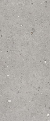 Керамогранит Grigio 60x120 Emil Ceramica матовый универсальный EGP1 фото Керамогранит Grigio 60x120 Emil Ceramica матовый универсальный EGP1