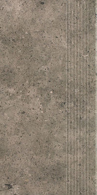 Ступень фронтальная Starlight Antracite Stopnica Prosta Mat. 30x60 G1 керамогранит матовая 5904584148361