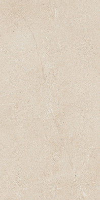 Керамогранит Forte Dei Marmi Rock Siberian Ivory Lastra 20 mm 60x120 Atlas Concorde антискользящий (grip), матовый напольная плитка 600010002435