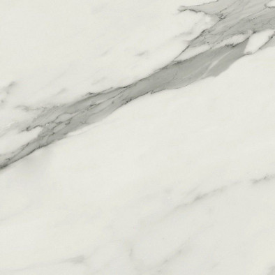 Керамогранит Statuary Venato Matt. Rect. Grigio 60x60 напольный матовый фото Керамогранит Statuary Venato Matt. Rect. Grigio 60x60 напольный матовый