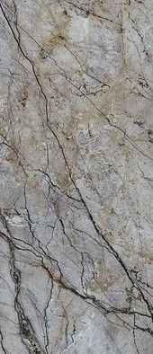 Керамогранит Cosmopolitan Mystic Grey CP 06 278x120x0,06 полированный AGQ6