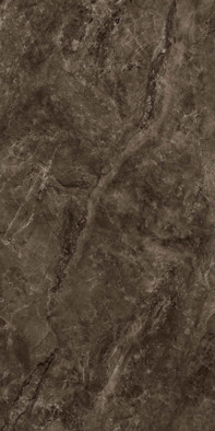 Керамогранит Carmina Brown Pol. 60x120 Eurotile Ceramica полированный универсальная плитка 7930138705573