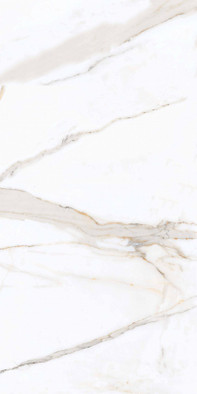 Керамогранит PR203 Regal Carara Primavera 60x120 полированный универсальный