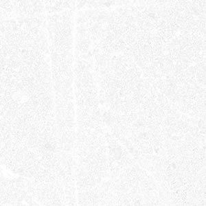 Керамогранит Corneille-R Blanco 15x15 универсальный матовый фото Керамогранит Corneille-R Blanco 15x15 универсальный матовый