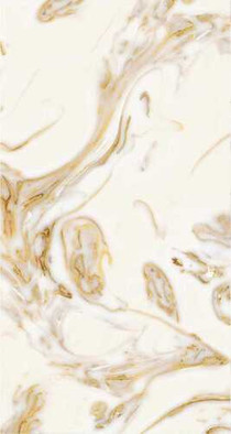 Керамогранит арт.06019 (золотой песок) Golden Silk 60x120 полированный универсальный
