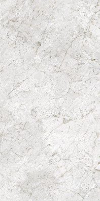 Керамогранит Ardden Grey Ceramicoin 60х120 матовый универсальный М 2348 фото Керамогранит Ardden Grey Ceramicoin 60х120 матовый универсальный М 2348