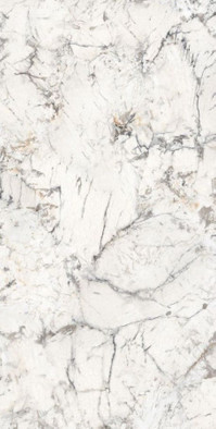 Керамогранит Elite White Polished Rectificado 60x120 GeoGres полированный универсальный УТ-00008983