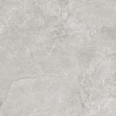 Керамогранит Pluto Silver Светло-серый SG625820R 59,5х59,5 матовый Laparet универсальная плитка х9999300989