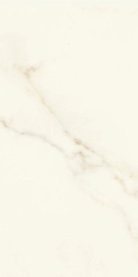 Керамогранит Marvel Calacatta Apuano 30x60 Matt Atlas Concorde Italy матовый универсальный AFWD