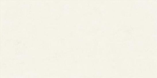 Керамогранит Floralia Lys Rect 60x120 Ariana Ceramica матовый настенный 8228