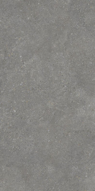 Керамогранит Pietra Grey 60х120 Protiles матовый универсальная плитка PT12F7047