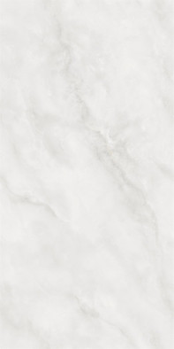 Керамогранит Onyx Light Smoke Полированная 60х120 NT Ceramic Moonstone универсальная плитка NTT9459P