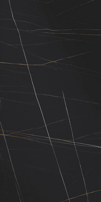Керамогранит SI.AZ.NG.NT 2500х1000х6 Arch Skin Stone Nero Marquina матовый универсальный
