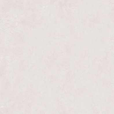 Керамогранит Pastel Grey Ceramicoin 60х60 глянцевый универсальный P 1120 фото Керамогранит Pastel Grey Ceramicoin 60х60 глянцевый универсальный P 1120