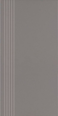 Ступень фронтальная Bazo Nero Stopnica Prosta Nacinana Monokolor Mat. 29,8x59,8 керамогранит матовая 5900144004313