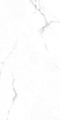 Керамогранит Augusta Gold 59x119 Monopole полированный универсальный 8475402538918