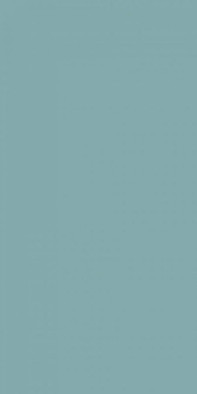 Керамогранит Croma Blue 49,1x98,2 Ceracasa Ceramica матовый универсальный
