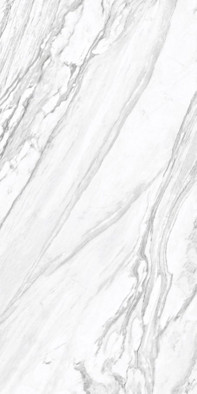 Керамогранит Statuary Venato D12065M 120х60х9,5 Delacora  матовый универсальный