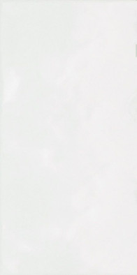 Настенная плитка TWU09MNR030 Monocolor 24.9х50 глянцевая керамическая
