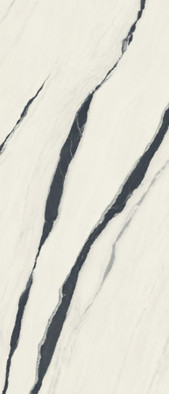 Керамогранит Forte dei Marmi Panda White Lapp 120х278 Atlas Concorde лаппатированный (полуполированный) универсальный 600180000037 фото Керамогранит Forte dei Marmi Panda White Lapp 120х278 Atlas Concorde лаппатированный (полуполированный) универсальный 600180000037