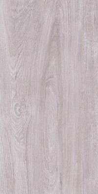 Керамогранит Florida Light Grey матовый 60х120 Novin Ceram Yazd Tile Co матовый напольная плитка 71956