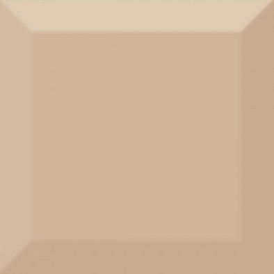 Настенная плитка Monocolor Beige Biselado Brillo 10x10 керамическая