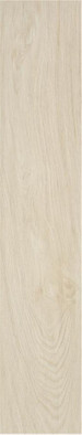 Керамогранит P.E. Tiare Bianco MT 23x120 STN Ceramica Stylnul матовый напольная плитка
