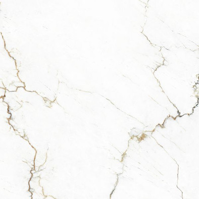 Керамогранит Segesta Caramel Luc Ret 60x60 Tagina полированный универсальная плитка 127055