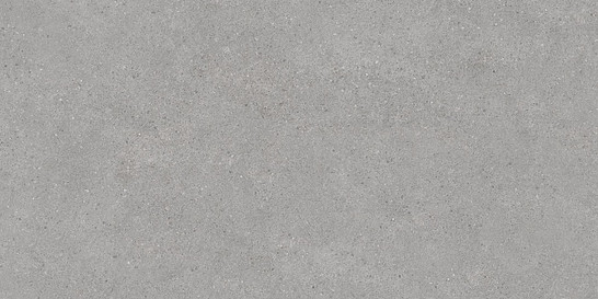 Керамогранит DL500800R Фондамента серый светлый обрезной 119.5х60 Kerama Marazzi матовый напольная плитка