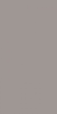 Керамогранит Cielo e Terra Griggio Mat 119,8x59,8 PP-01-195-1198-0598-1-076 Tubadzin матовый универсальный 5903238105507