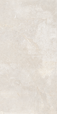 Керамогранит EverWhite Ret (P) 60x120 Cercom матовый универсальная плитка 10893271