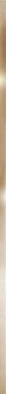 Бордюр BWM61MET808 Metallic Glossy Gold 12х600х7 Almaceramica Металлические бордюры глянцевый керамический фото Бордюр BWM61MET808 Metallic Glossy Gold 12х600х7 Almaceramica Металлические бордюры глянцевый керамический