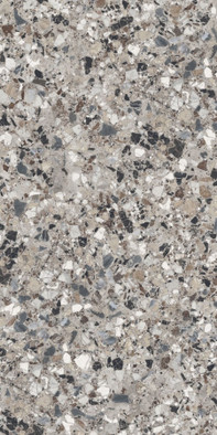 Керамогранит Neoclassica Diorite Levigato 60x120 8.5 mm Cerdomus полированный универсальная плитка 108389