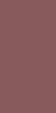 Керамогранит Pastel X Burgundy Ret 60x120 RHS матовый универсальная плитка J94063