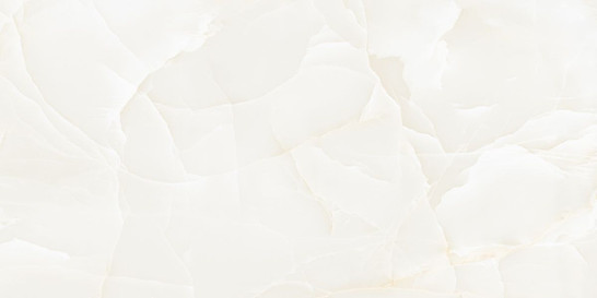 Керамогранит Onyx Predo Ntceramic 60х120 полированный универсальный NTT99504P