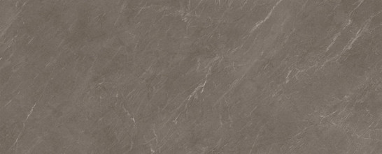 Керамогранит Avenue Taupe Rect Silk 100x300 ArkLam матовый универсальный 314393
