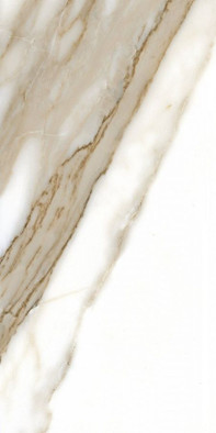 Керамогранит Calacatta 60х120 NPlus Fanal полированный напольный 918760