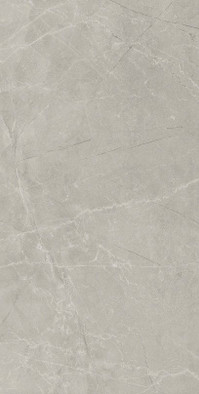 Керамогранит Silver Pulido 60x120 универсальный