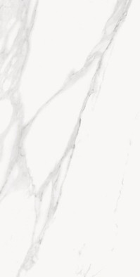 Керамогранит Statuario Michelangelo Naturale Emil Ceramica 60х120 матовый универсальный ED47