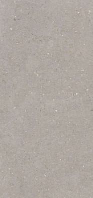 Керамогранит Stx Fossil Mud 59.8х119.8 Simpolo матовый универсальная плитка MPL-061837 фото Керамогранит Stx Fossil Mud 59.8х119.8 Simpolo матовый универсальная плитка MPL-061837