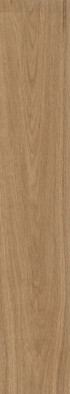 Керамогранит Forest Palm 20x120 Matt Staro матовый напольная плитка УТ-00000458