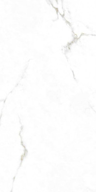 Керамогранит Augusta Gold 59x119 Monopole полированный универсальный 8475402538918
