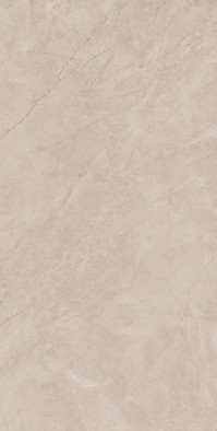 Керамогранит Ivori Natural 120x240 универсальный матовый фото Керамогранит Ivori Natural 120x240 универсальный матовый