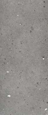 Керамогранит Grigio Scuro 60x120 Emil Ceramica матовый универсальный EGP2 фото Керамогранит Grigio Scuro 60x120 Emil Ceramica матовый универсальный EGP2