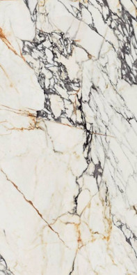 Керамогранит 0009024 Supreme Treasure Corchia Gold Lux 60х120, Flaviker полированный универсальный