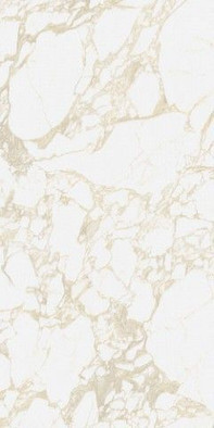Керамогранит Pulp Gold Raw 60x120 матовый