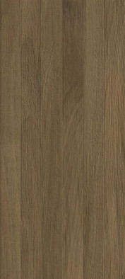 Настенная плитка Quarta brown 04 25х60 керамическая
