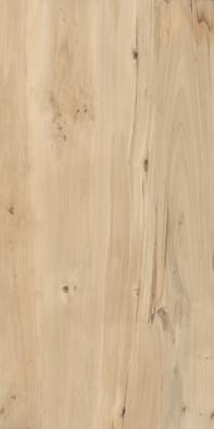 Керамогранит Sweet Home Matt 60x120 Buono Ceramica Soft матовый универсальная плитка FVL4511M